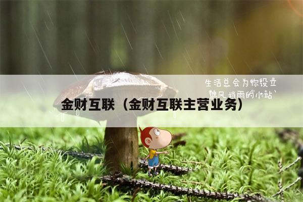 金财互联（金财互联主营业务）