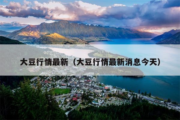 大豆行情最新（大豆行情最新消息今天）