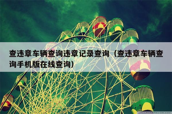 查违章车辆查询违章记录查询（查违章车辆查询手机版在线查询）