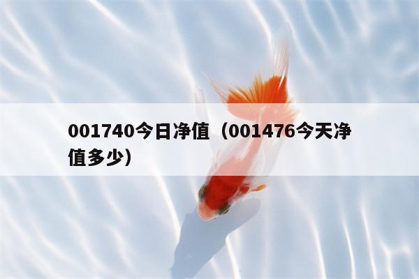 001740今日净值（001476今天净值多少）