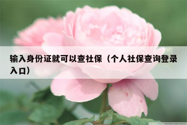 输入身份证就可以查社保（个人社保查询登录入口）