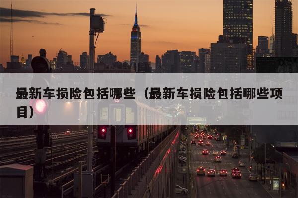 最新车损险包括哪些（最新车损险包括哪些项目）