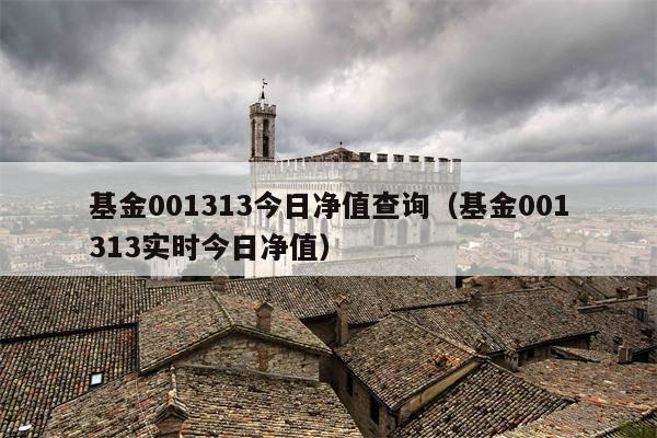 基金001313今日净值查询（基金001313实时今日净值）