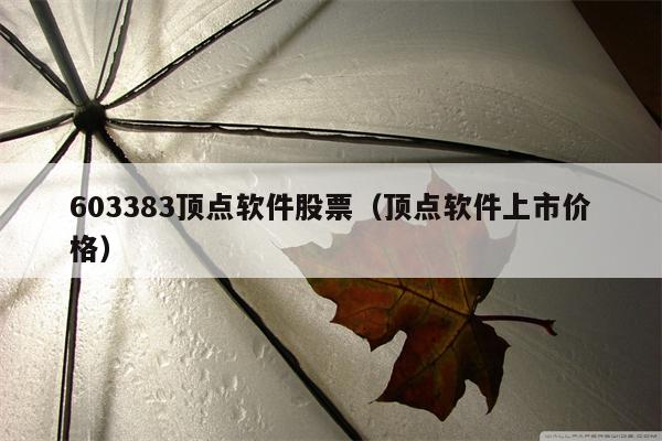 603383顶点软件股票（顶点软件上市价格）