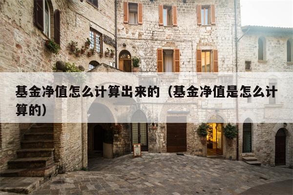基金净值怎么计算出来的（基金净值是怎么计算的）
