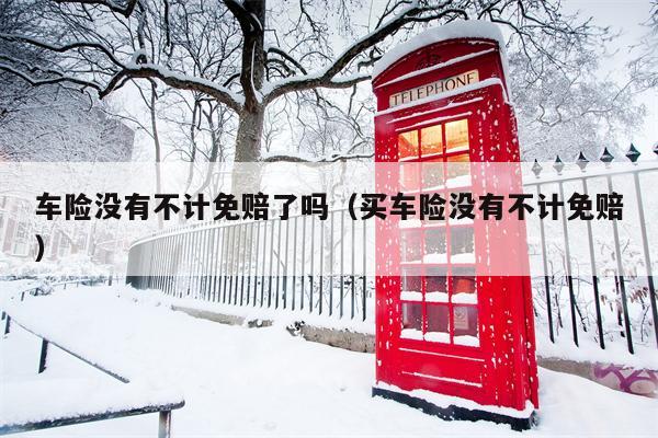 车险没有不计免赔了吗（买车险没有不计免赔）