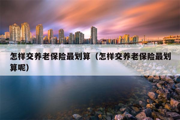 怎样交养老保险最划算（怎样交养老保险最划算呢）