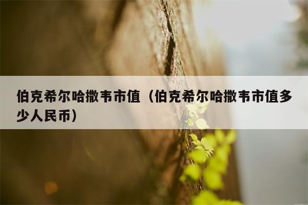 伯克希尔哈撒韦市值（伯克希尔哈撒韦市值多少人民币）