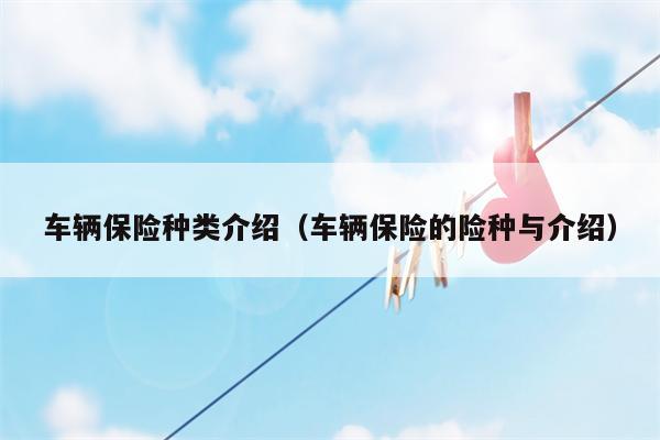 车辆保险种类介绍（车辆保险的险种与介绍）