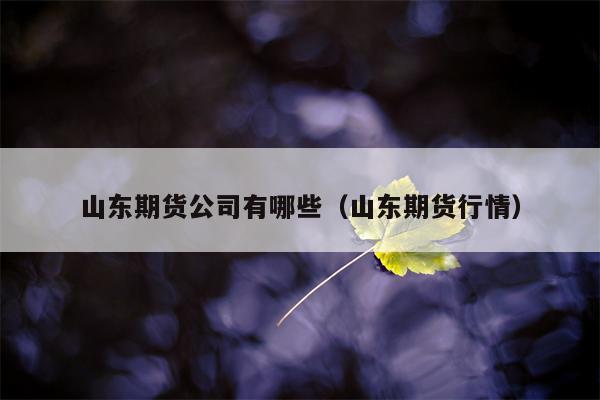 山东期货公司有哪些（山东期货行情）