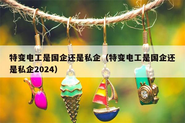 特变电工是国企还是私企（特变电工是国企还是私企2024）