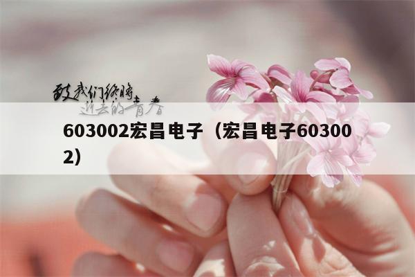 603002宏昌电子（宏昌电子603002）