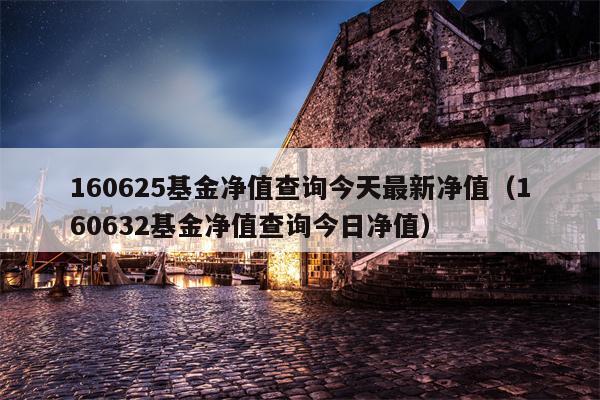 160625基金净值查询今天最新净值（160632基金净值查询今日净值）