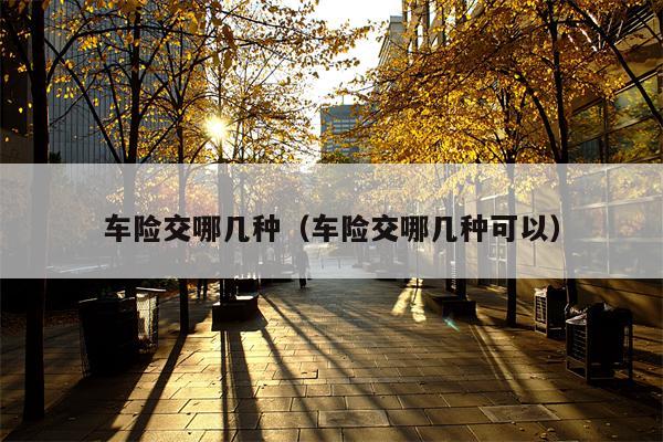 车险交哪几种（车险交哪几种可以）