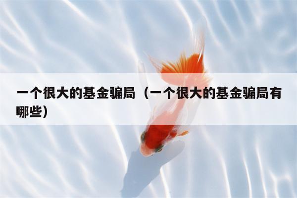 一个很大的基金骗局（一个很大的基金骗局有哪些）