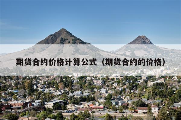 期货合约价格计算公式（期货合约的价格）