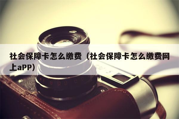 社会保障卡怎么缴费（社会保障卡怎么缴费网上aPP）