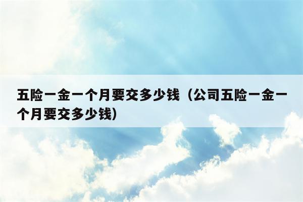 五险一金一个月要交多少钱（公司五险一金一个月要交多少钱）