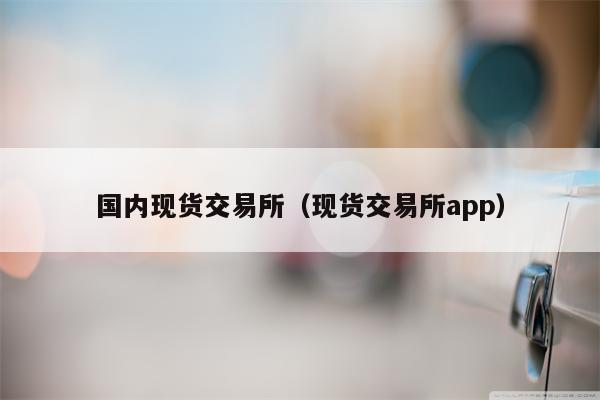 国内现货交易所（现货交易所app）