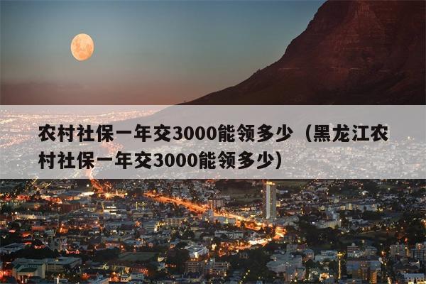 农村社保一年交3000能领多少（黑龙江农村社保一年交3000能领多少）