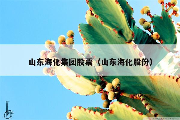 山东海化集团股票（山东海化股份）