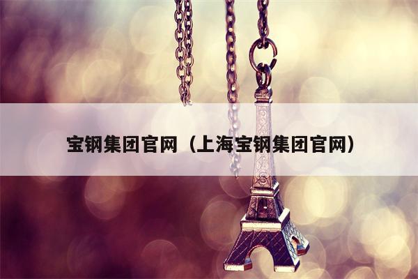 宝钢集团官网（上海宝钢集团官网）