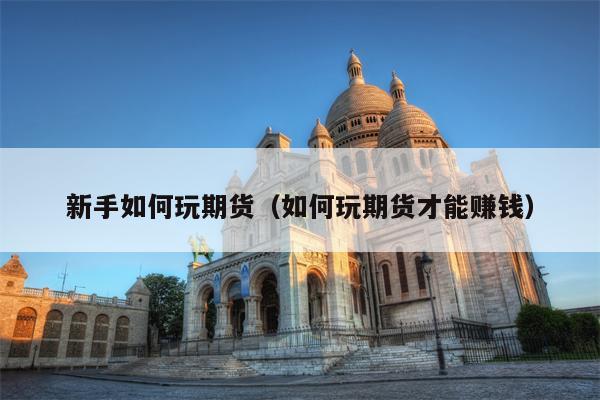 新手如何玩期货（如何玩期货才能赚钱）