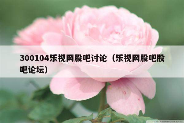 300104乐视网股吧讨论（乐视网股吧股吧论坛）