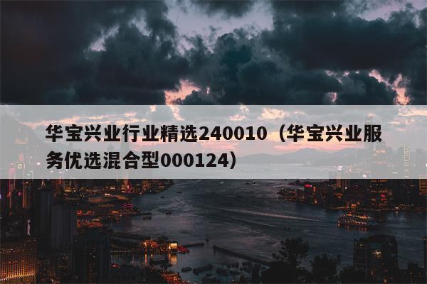 华宝兴业行业精选240010（华宝兴业服务优选混合型000124）