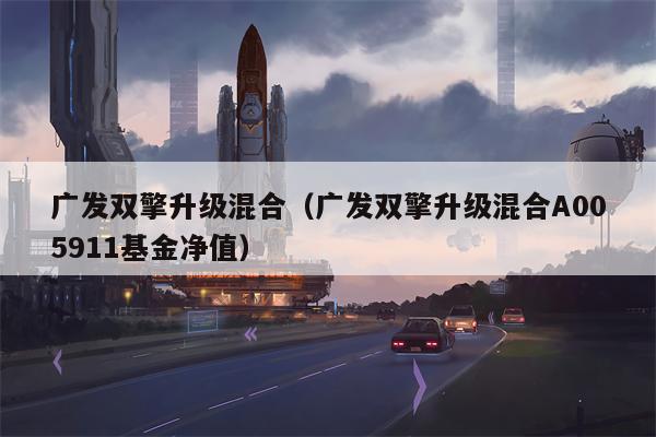 广发双擎升级混合（广发双擎升级混合A005911基金净值）