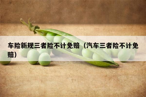 车险新规三者险不计免赔（汽车三者险不计免赔）