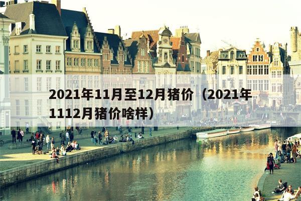 2021年11月至12月猪价（2021年1112月猪价啥样）