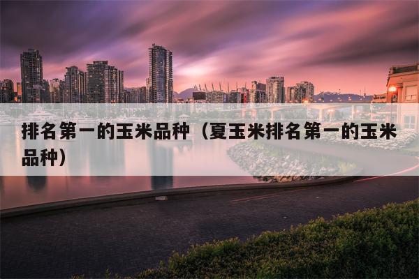 排名第一的玉米品种（夏玉米排名第一的玉米品种）