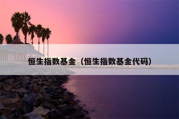 恒生指数基金（恒生指数基金代码）