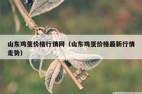 山东鸡蛋价格行情网（山东鸡蛋价格最新行情走势）