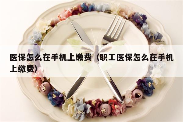 医保怎么在手机上缴费（职工医保怎么在手机上缴费）