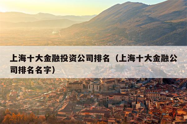 上海十大金融投资公司排名（上海十大金融公司排名名字）