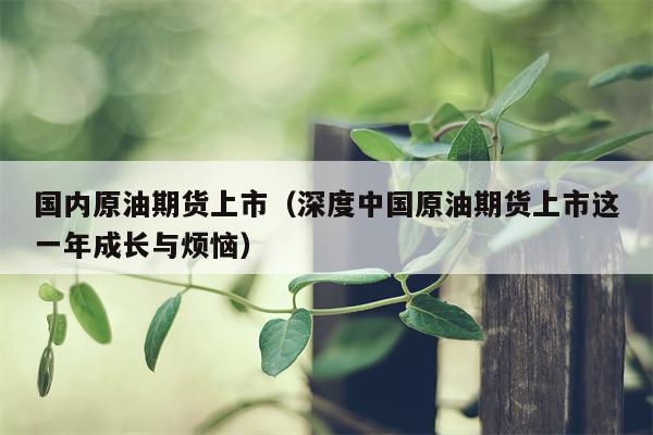 国内原油期货上市（深度中国原油期货上市这一年成长与烦恼）