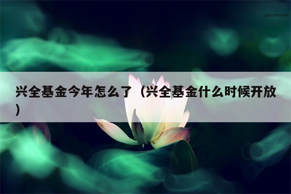 兴全基金今年怎么了（兴全基金什么时候开放）