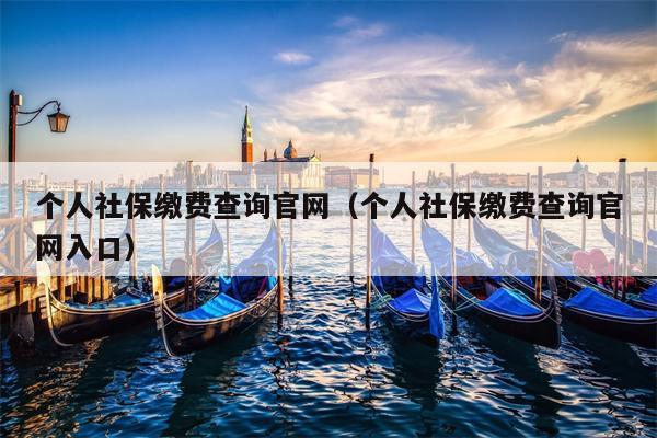 个人社保缴费查询官网（个人社保缴费查询官网入口）