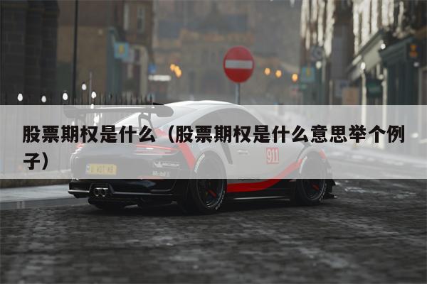 股票期权是什么（股票期权是什么意思举个例子）