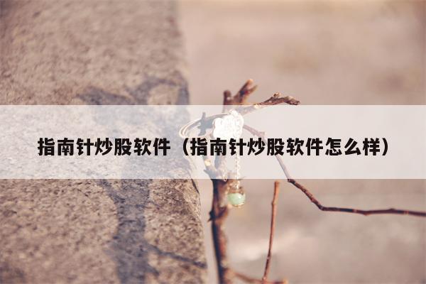 指南针炒股软件（指南针炒股软件怎么样）