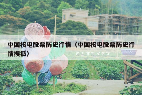 中国核电股票历史行情（中国核电股票历史行情搜狐）