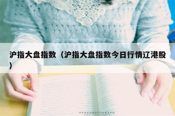 沪指大盘指数（沪指大盘指数今日行情辽港股）