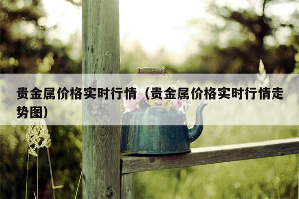 贵金属价格实时行情（贵金属价格实时行情走势图）