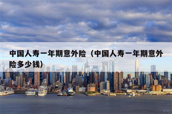 中国人寿一年期意外险（中国人寿一年期意外险多少钱）