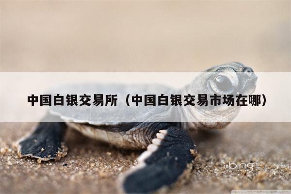 中国白银交易所（中国白银交易市场在哪）
