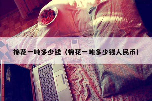 棉花一吨多少钱（棉花一吨多少钱人民币）