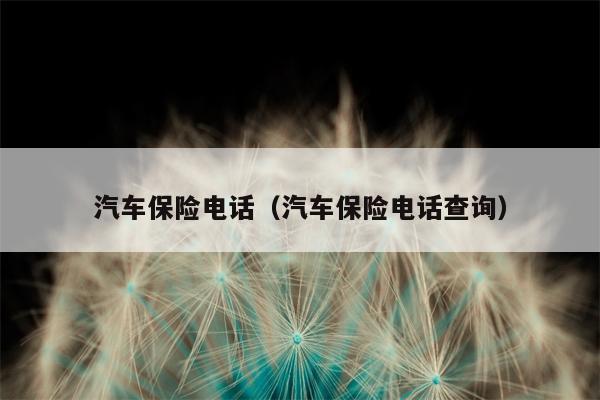 汽车保险电话（汽车保险电话查询）
