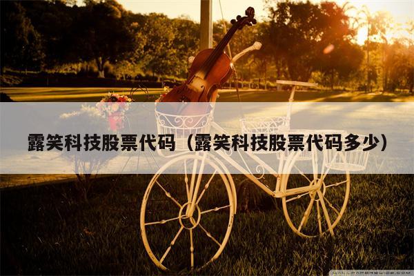 露笑科技股票代码（露笑科技股票代码多少）